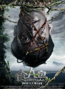 黄色网站软件