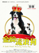 免费黄色应用